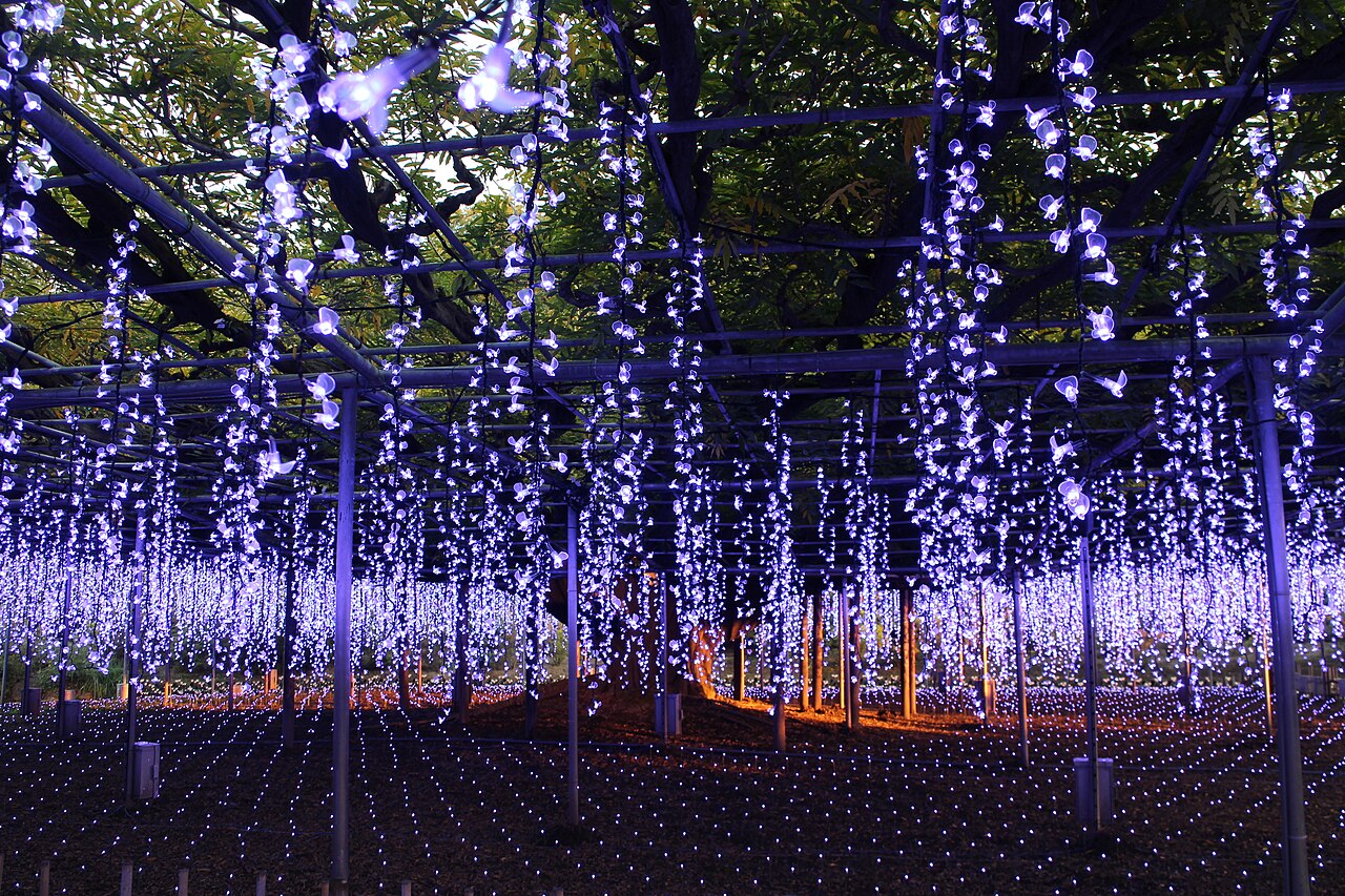 Ashikaga Flower Park autumn view with yellow and orange foliage