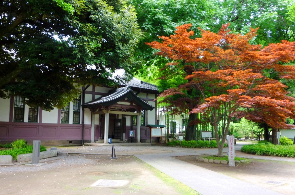 Autumn at Ashikaga Gakko with red maple foliage