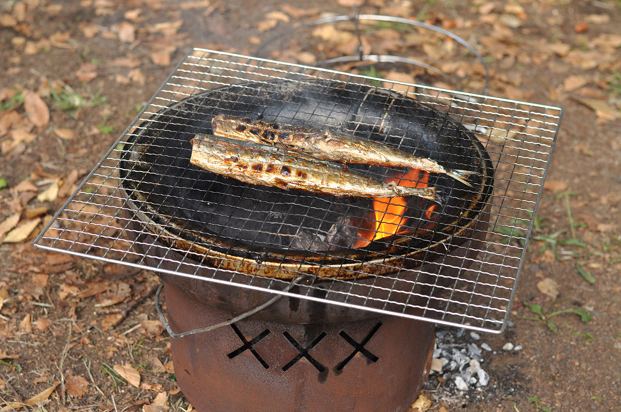 Broiled sanma (Pacific saury) on a plate, an autumn Tohoku classic