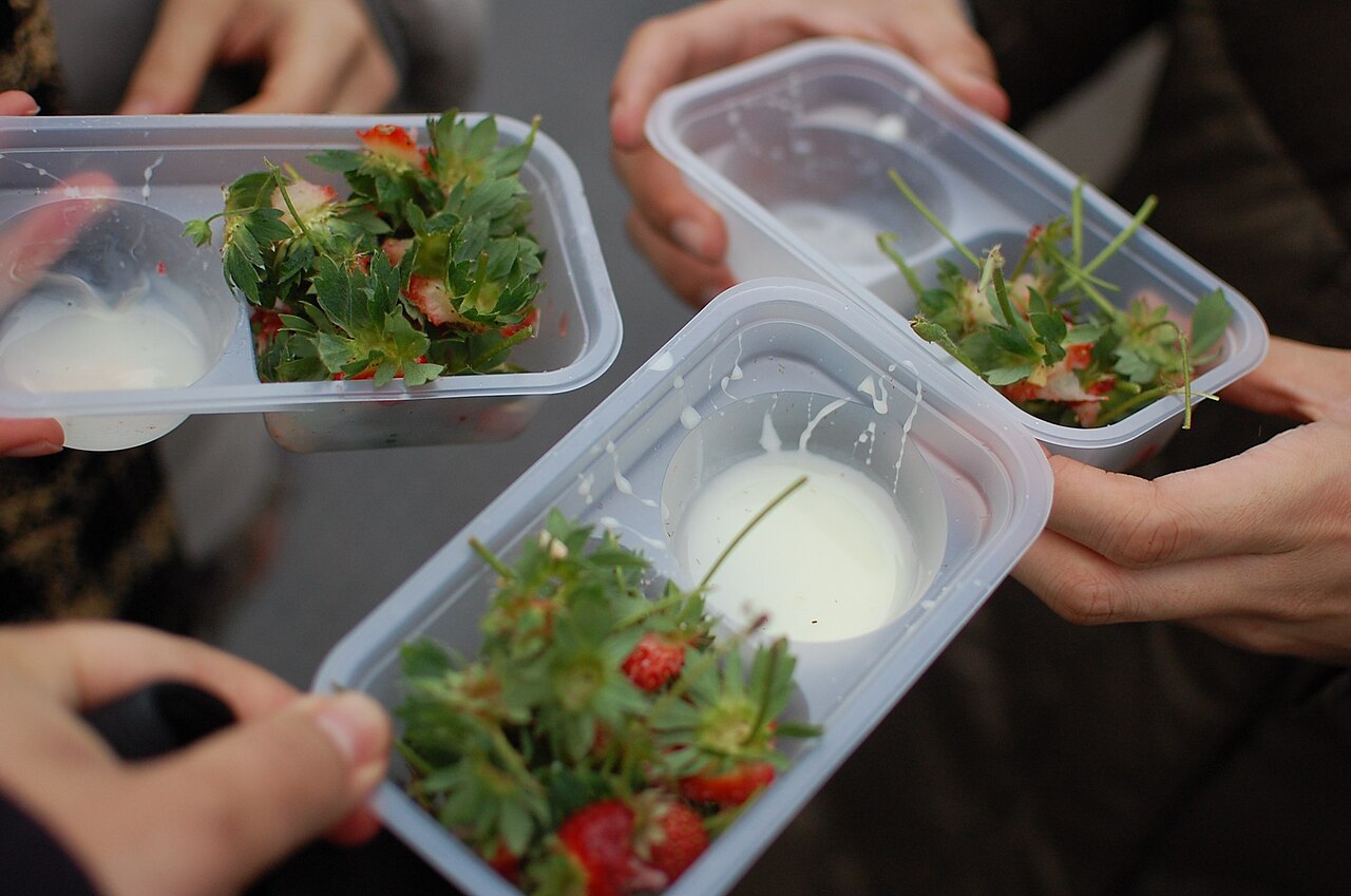 Strawberry picking harvest