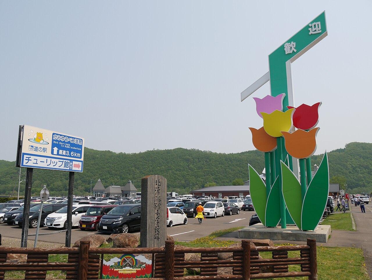 Kamiyubetsu Tulip Park main field with rows of tulips in multiple colors