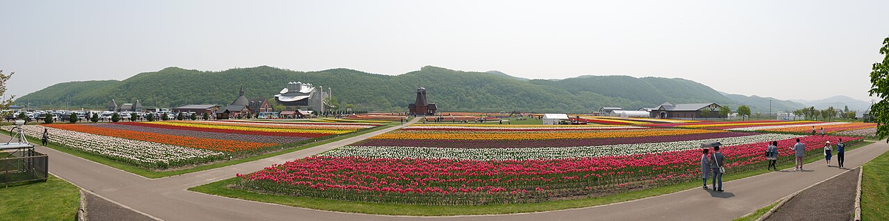 Panoramic view of Kamiyubetsu Tulip Park with the windmill observation deck