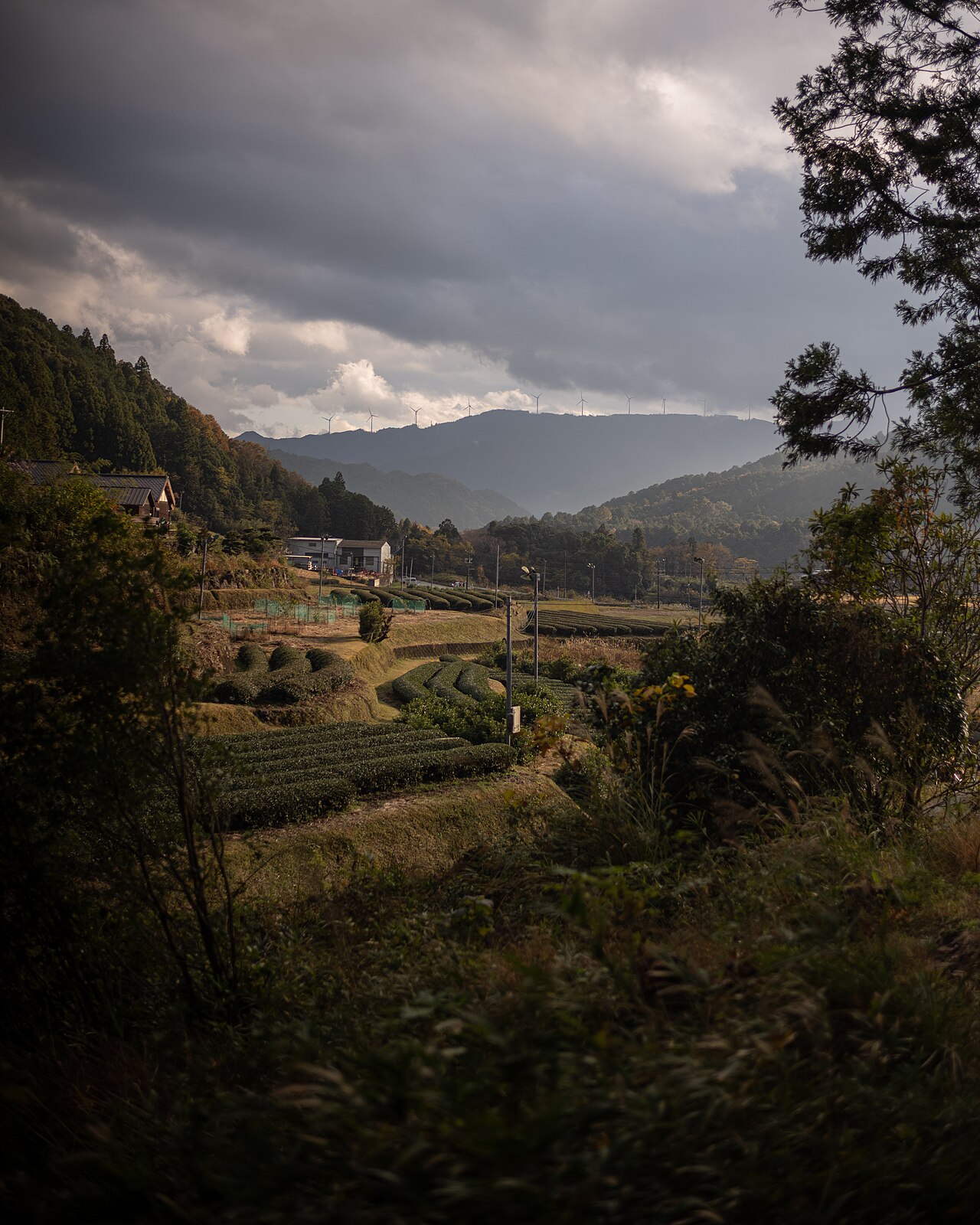 Kumano Kodo Iseji route near Kawazoe village