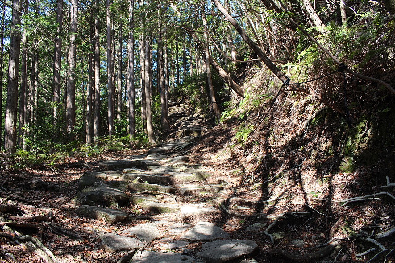 Kumano Kodo Magose pass route with stone paving