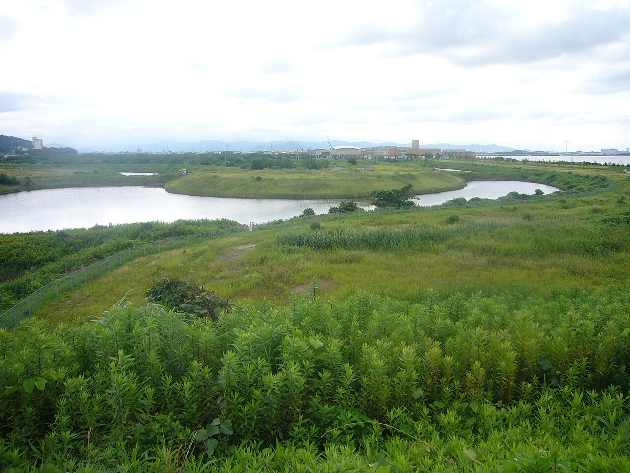 Laguna Gamagori east side with marina and harbour