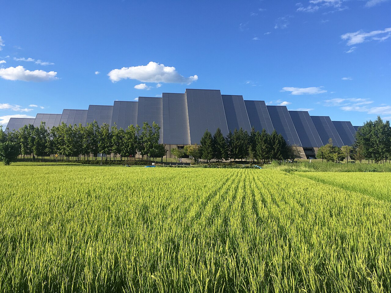 M-Wave Olympic speed skating oval exterior showing the undulating roofline