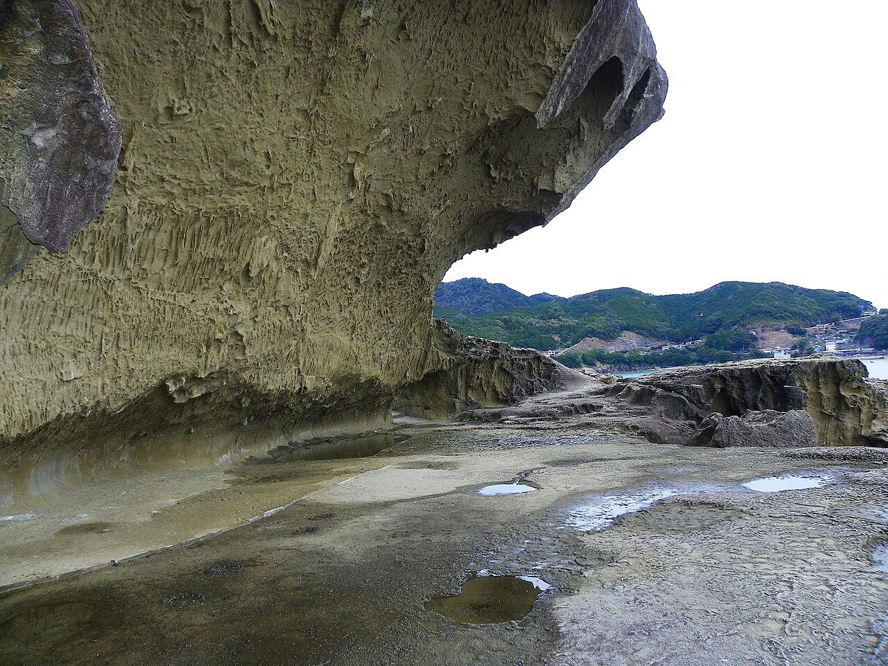 Senjogiki wave-eroded rock platform at Onigajo resembling tatami mats
