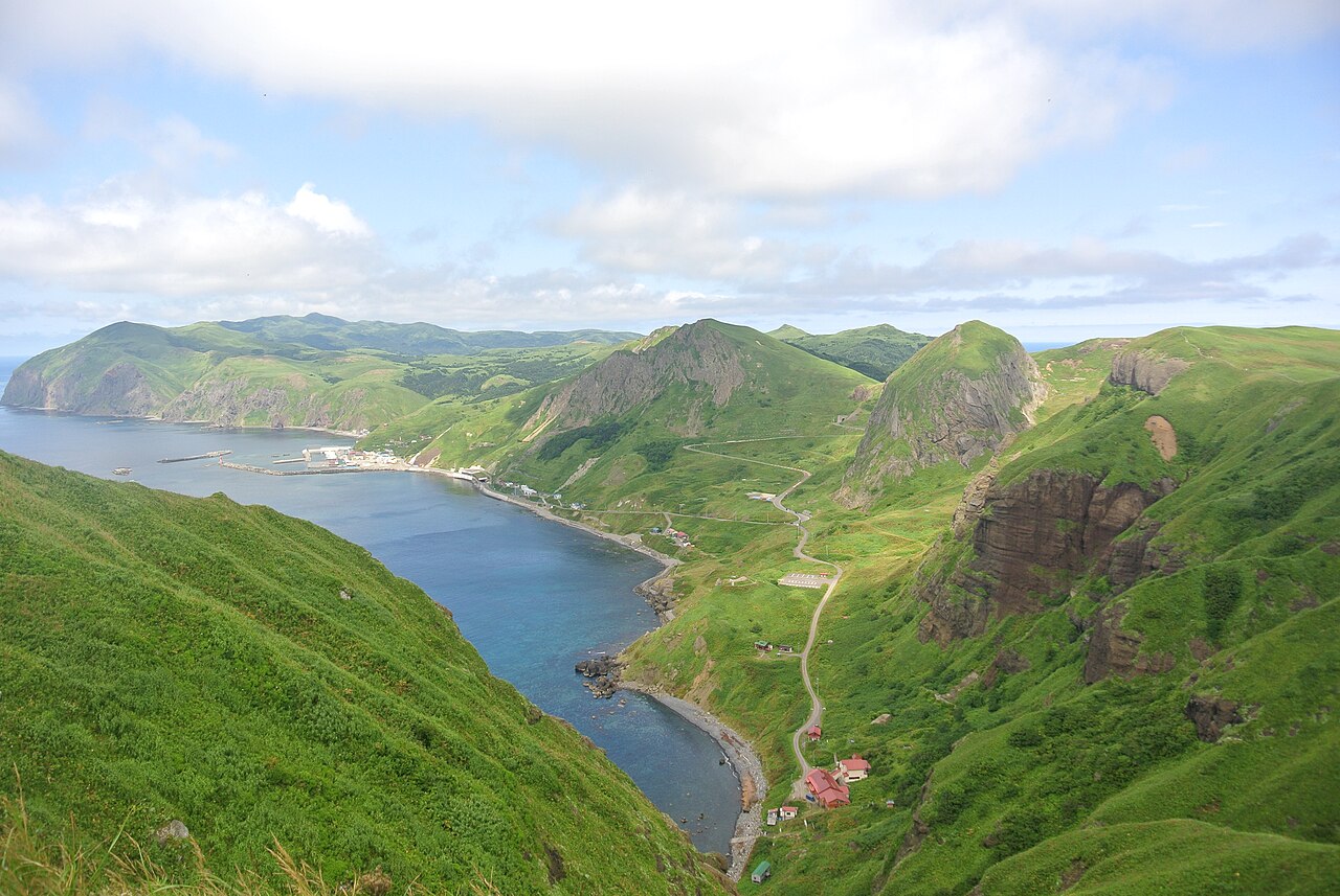 Rebun Island with alpine flowers in the foreground and coastline visible