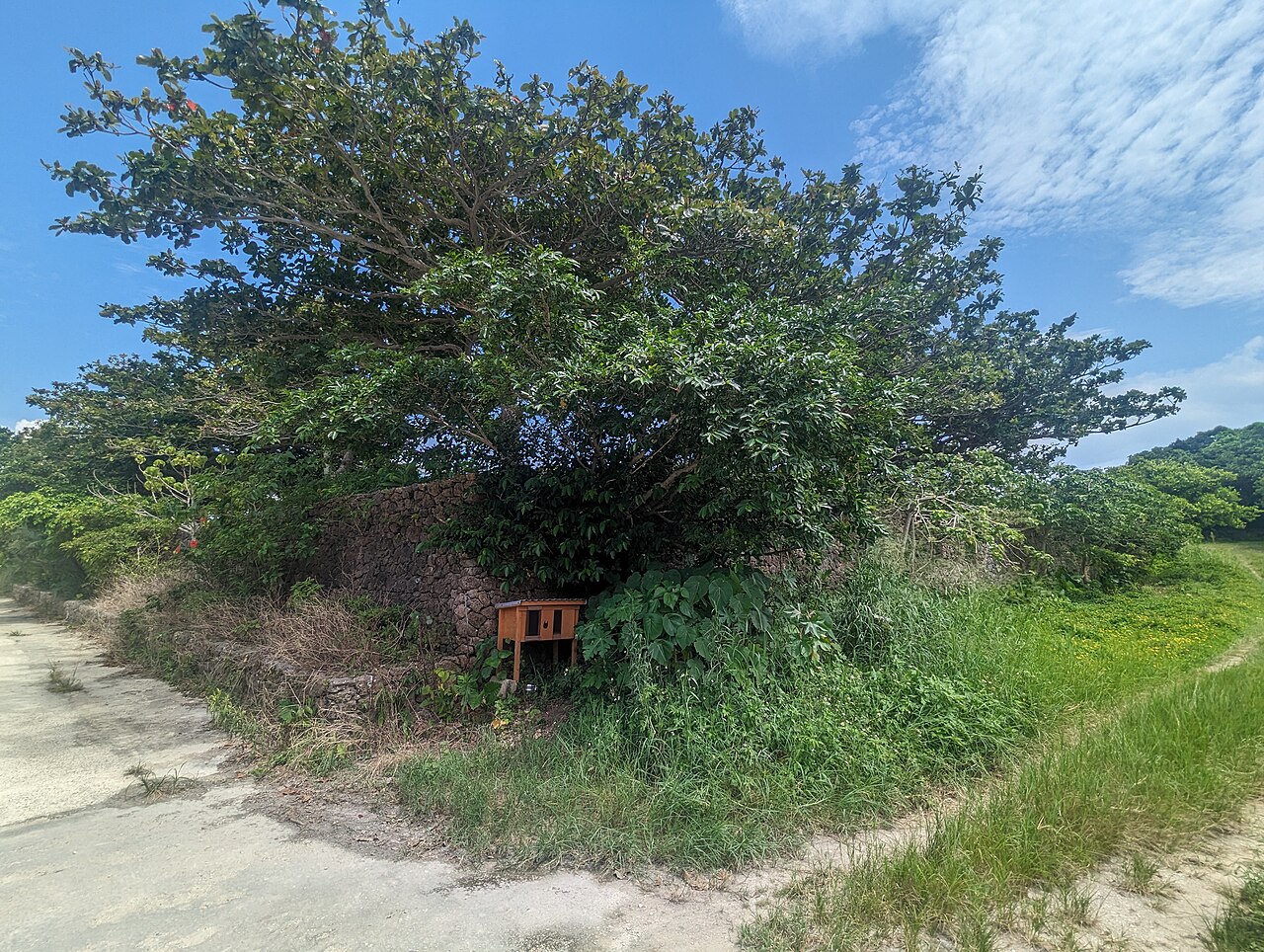 Taketomi Island village with traditional red-tile roof houses